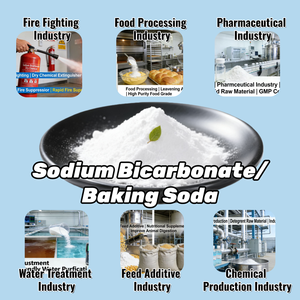 Bicarbonate <span class=keywords><strong>de</strong></span> <span class=keywords><strong>soude</strong></span> <span class=keywords><strong>de</strong></span> qualité industrielle et alimentaire pour additif alimentaire, 25 kg/sac, haute pureté 99%-100,5% - Product Image 2