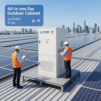 Sistema de Almacenamiento de Energía para Exteriores Todo en Uno de 261KWH 215KWH IP54, Sistema de Almacenamiento de Energía Industrial y Comercial
