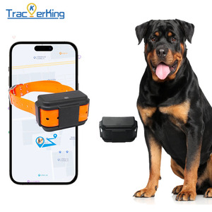 Collier de suivi GPS pour chien, localisateur intelligent pour animaux de compagnie, étanche, anti-perte, collier d'entraînement pour la marche en extérieur - Product Image 3