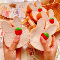 Jouet Squishy en PU à Rebond Lent en Forme de Lapin pour Jeunes Atteints de Dystonie Musculaire, Jouet Alimentaire Populaire sur Xiaohongshu