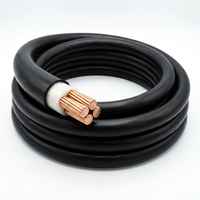 Câble d'alimentation PrimePro 0.6/1kV YJV |   Cœur en cuivre pur à 99,9 % de 10 à 95 mm² |   Fil de construction isolé XLPE, gainé de PVC ignifuge