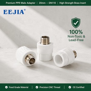 Adaptador Macho <span class=keywords><strong>PPR</strong></span> de 16-<span class=keywords><strong>50</strong></span> <span class=keywords><strong>mm</strong></span> con Rosca de Latón - Conexión de Tubería <span class=keywords><strong>PPR</strong></span> No Tóxica para Agua Potable Segura, <span class=keywords><strong>Precio</strong></span> de Fábrica - Product Image 6