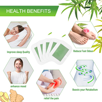 Produits chinois 2026 : Patchs détoxifiants pour les pieds – Soulagez la fatigue, éliminez l'humidité et réchauffez vos pieds.