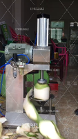 Jeune machine de décorticage de noix de coco tendre machine de traitement de noix de coco vert éplucheur automatique de noix de coco frais