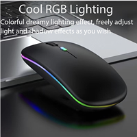 Souris de jeu silencieuse à capteur optique sans fil rechargeable par USB avec rétroéclairage LED, design ergonomique pour droitiers, pour ordinateurs portables et usage de bureau