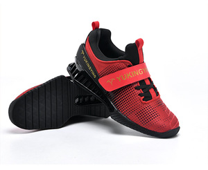 Botas de Boxeo Profesionales para Entrenamiento en Gimnasio, Transpirables, con Logotipo Personalizado, para Primavera/Invierno 2024, Ideales para Fisicoculturismo y Levantamiento de Pesas - Product Image 1