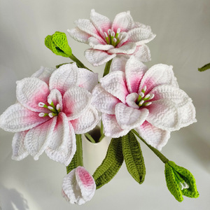 TC Décoration d'intérieur DIY Bouquet de fleurs pour anniversaire Cadeau Fête des Mères Fleur artificielle tricotée Branche de fleur au crochet <span class=keywords><strong>Amaryllis</strong></span> - Product Image 1