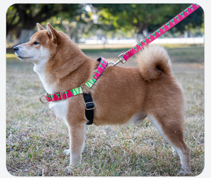 Heat-transfer Print Nylon Dog Leash P-style Collar; Suitable for Small/medium/large Breeds; Prevents Large Dogs <strong>Getting</strong> <strong>Lost</strong> - Product Image 2