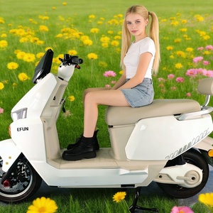 Scooter électrique de course pour adultes EEC COC 60V 20Ah City Battery 2000W/3000W/4000W - Product Image 5