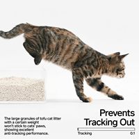 Litière pour chat en tofu biodégradable naturelle, litière pour chat en tofu écologique, litière pour chat en tofu sans poussière, pour un nettoyage sain des animaux de compagnie