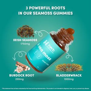 Gomitas de musgo marino irlandés de etiqueta privada, minerales de desintoxicación de impulso de energía de apoyo inmunológico con raíz de bardana Bladderwrack - Product Image 2