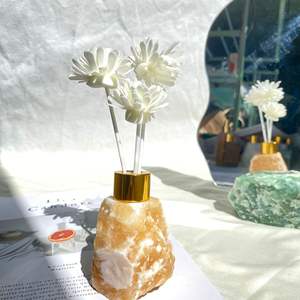 Flacon Vide pour Diffuseur à Bâtonnets avec Cristaux Bruts de Quartz Rose et Aventurine, Bouteille de Diffuseur d'Huiles Essentielles avec Pierres Brutes - Product Image 3