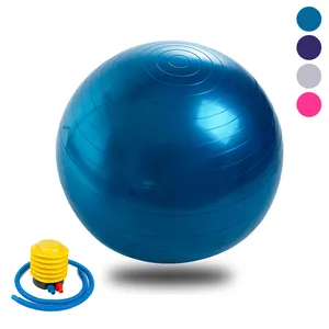 Spor salonu Yoga 65Cm 75Cm Fitness gökkuşağı Pilates araçları 9 inç küçük Pvc Mini egzersizleri ile yapabilirsiniz bir çocuk egzersiz topu