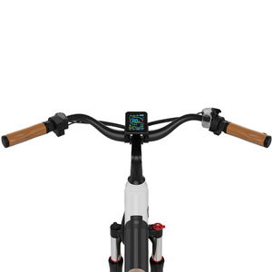 Bicicleta Eléctrica Urbana de 26 Pulgadas con Motor Trasero, Batería de Litio, 7 Velocidades y Frenos de Disco, Disponible en la UE - Product Image 2