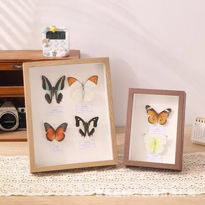 Cadre en bois pour spécimens d'insectes, boîte de rangement rectangulaire faite à la main pour l'affichage sur le bureau à domicile - Product Image 3