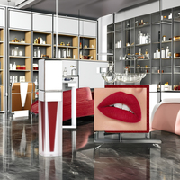 Nouveau Gloss à Lèvres Liquide Végétalien Personnalisé Tendance, Format Voyage, Longue Tenue, Imperméable, Naturel, Brillant, Repulpant, Ingrédients Minéraux, Faible MOQ