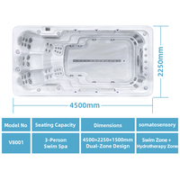 Virlux V8001 Acryl-Swim-Spa mit 5 Jahren Garantie Umweltfreundlich & Einfach zu Installieren für den Außenbereich