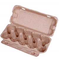 Six Pack Détient 6 Cellules Jumbo Oeufs Boîte D'emballage Biodégradables Papier Oeufs de Caille Emballage Plateau Boîte Cartons
