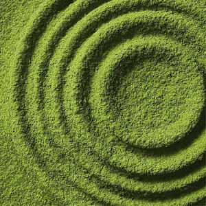 Poudre de matcha premium, mélange de poudre de thé vert en sachet et en emballage en vrac - Product Image 3