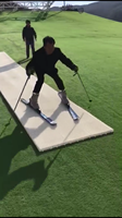 Tapis de piste de ski sec de neige colorée tapis de piste de ski sec artificiel pour l'extérieur