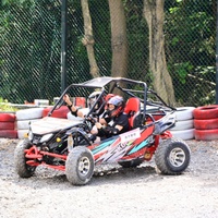 Go-Kart Todoterreno de 200 CC para Adultos, Go-Kart de Pedales Todoterreno, Karting Todoterreno Comercial de Alto Rendimiento, Personalizable Según se Necesite
