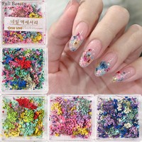Fleurs séchées naturelles multicolores pour la décoration des ongles, DIY, manucure, mini boîte carrée, fleurs réelles, accessoires pour ongles