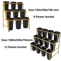 En stock, support de présentation minimaliste en métal doré pour fleuriste moderne, seau décoratif pour fleurs fraîches, support de présentation pour plantes