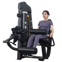 Machine professionnelle à charges guidées pour extensions et flexions des jambes – Équipement de musculation de haute qualité pour salle de sport