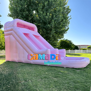 Nuevo diseño, Tobogán seco de agua inflable blanco de doble carril, castillos de salto de rebote Pastel para patios traseros, castillo inflable - Product Image 4