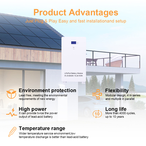แบตเตอรี่ลิเธียมไอรอนฟอสเฟต (LiFePO4) คุณภาพสูง ปลอดภัย ไม่มีภาษี ระดับ A 51.2V 5Kwh 10Kwh สำหรับติดตั้งบนผนัง ใช้กับระบบพลังงานแสงอาทิตย์ภายในบ้าน สำรองไฟบ้าน - Product Image 1