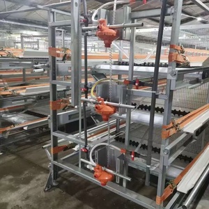 Jaula para Cría de Pollos HENGQI Nueva, Tipo H, Totalmente Automática, de 4 Niveles, de Acero Galvanizado - Product Image 1