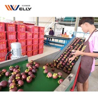 Kiwi fruit sorteren machine/mango sorteermachine/sorteren machine voor fruit en groente