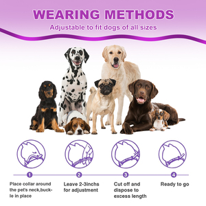 <span class=keywords><strong>Collar</strong></span> de perro calmante 4 paquetes alivio ansiedad estrés separación 60 días dura aliviar el mal comportamiento tamaño ajustable - Product Image 6