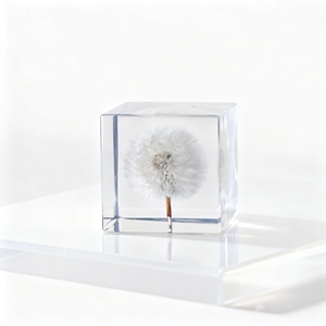 Natural Dried Dandelion Resin Crafts Creative Home Interior Decoration Custom Commemorative Gift for <b>Study</b> <b>Desk</b> - Product Image 6