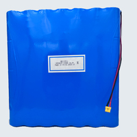 Batterie primaire au chlorure de thionyle de lithium non rechargeable ER34615 133Ah 14.4V, autonomie ultra longue pour jouets d'extérieur