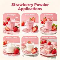 Poudre de Fraise Naturelle Lyophilisée et Séchée par Pulvérisation, Ingrédient en Vrac à Base de Fruits
