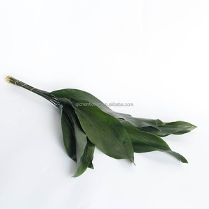 Feuilles d'<span class=keywords><strong>Aspidistra</strong></span>, boîte cadeau haut de gamme, personnalisable, cadeau pour la Saint-Valentin, bouquet de fleurs, tiges de fleurs fraîches, vente en gros en Chine - Product Image 3