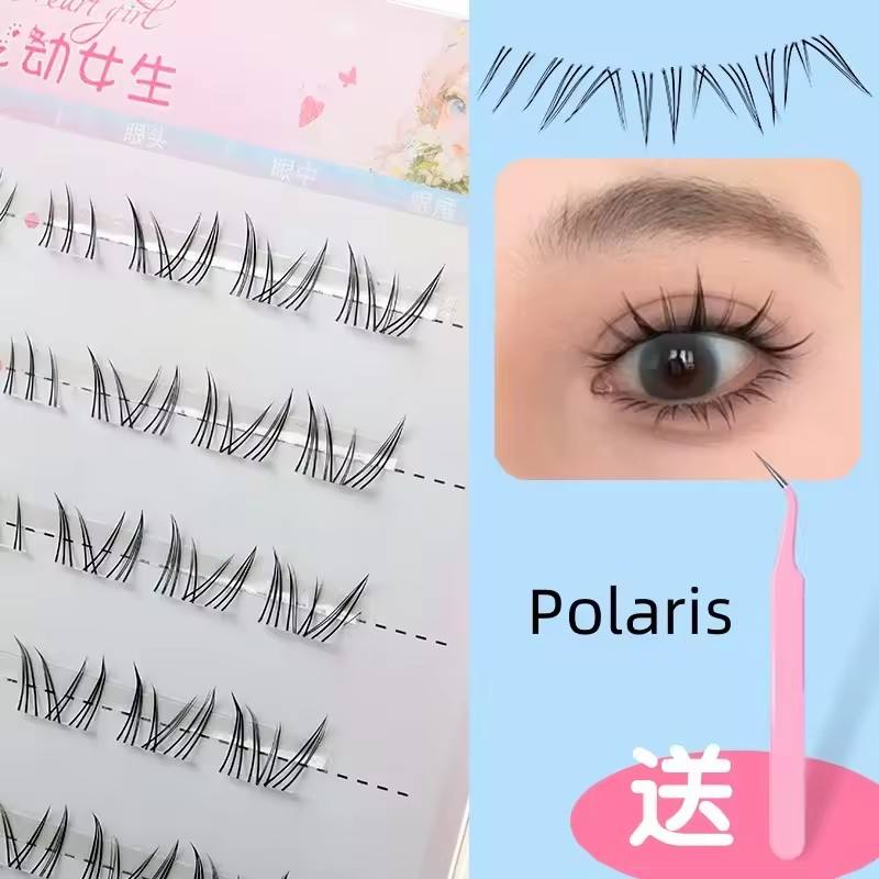 โพลาริส