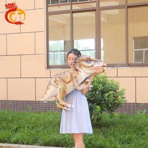 หุ่นมือไดโนเสาร์ทีเร็กซ์ขนาดเล็กแบบสมจริงที่ปรับแต่งได้ - หุ่นไดโนเสาร์เคลื่อนไหวได้สำหรับใช้ในร่ม สวนสนุก สถานรับเลี้ยงเด็ก และการศึกษา - Product Image 3