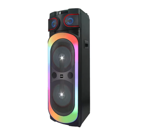 Enceinte professionnelle active de scène DJ karaoké sans fil avec double caisson de basses de 12 pouces, BT 5.0, lumière RVB, 150W, 2 micros - Product Image 5