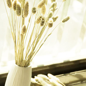 Fleurs séchées biologiques en gros Summer <span class=keywords><strong>Flora</strong></span> pour la décoration intérieure, fleurs de Jewelweed pour la décoration de la maison - Product Image 4