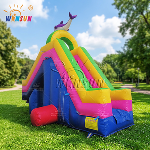 Winsun สไลเดอร์ปลาโลมาพร้อมแผ่นกันกระแทกสนามเด็กเล่นสไลเดอร์เป่าลมแห้ง - Product Image 1