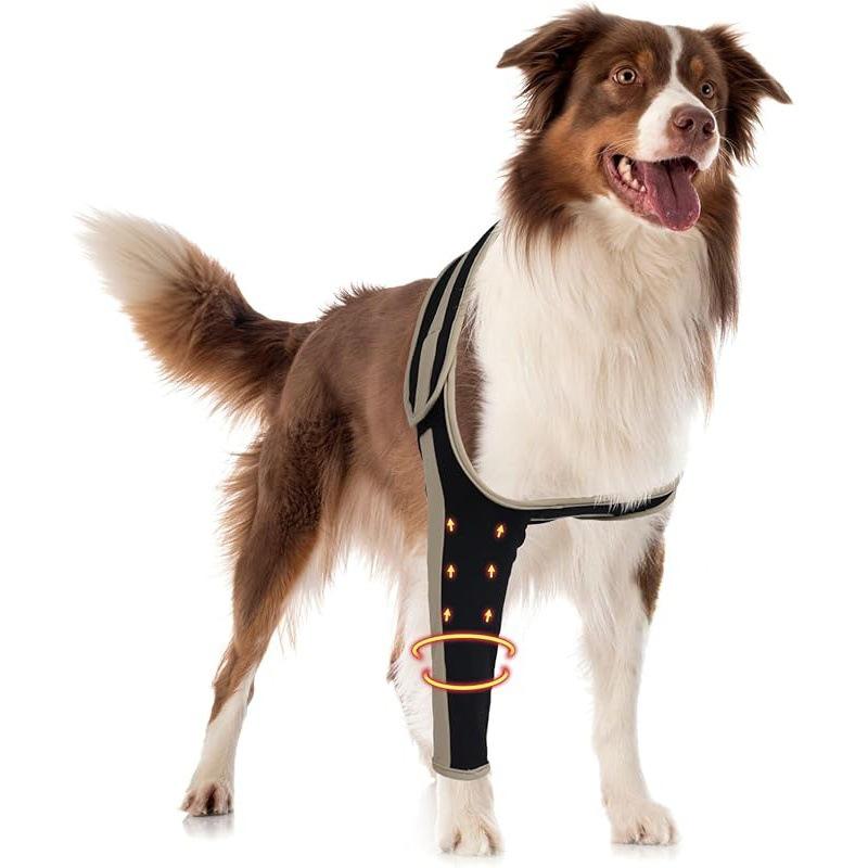 ขาหน้าขวาสีดำ