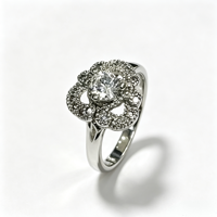 Bagues en laiton plaqué platine, pierres étincelantes élégantes pour les fêtes d'anniversaire, les mariages, les anniversaires de mariage, bijoux de mode, cadeaux