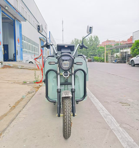 Tricycle <span class=keywords><strong>électrique</strong></span> personnalisé à 3 roues, tricycle <span class=keywords><strong>solaire</strong></span>, camion cargo, conception de carrosserie ouverte, tension de 60V, <span class=keywords><strong>prix</strong></span> de <span class=keywords><strong>vélo</strong></span> de moto compétitif - Product Image 5