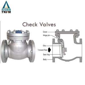 Van Kiểm Tra Swing Bằng Thép Không Gỉ Kết Nối Ren Và Mặt Bích - Product Image 3