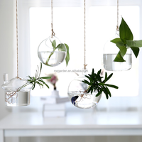 Jardinière murale, terrariums en verre transparent suspendus pour plantes aériennes, succulentes et bougies, terrarium suspendu