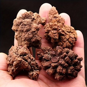 Décoration en pierre de caca de dinosaure réaliste en gros, pierres naturelles de guérison cristalline pour une décoration intérieure unique et des cadeaux de vacances - Product Image 1