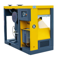 Pompe à vide à vis intelligente à vente chaude en usine pour hôtels, faible bruit, moteurs de 7,5 kW, 11 kW, 15 kW, 22 kW, 30 kW pour équipements généraux