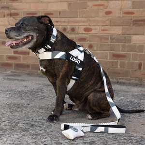 Custom Luxury <strong>Dog</strong> <strong>Harness</strong> Adjustable Nylon Chest Strap with Camouflage Plaid Tactical <strong>Chain</strong> Leash Wholesale Simple Sport Style - Product Image 2